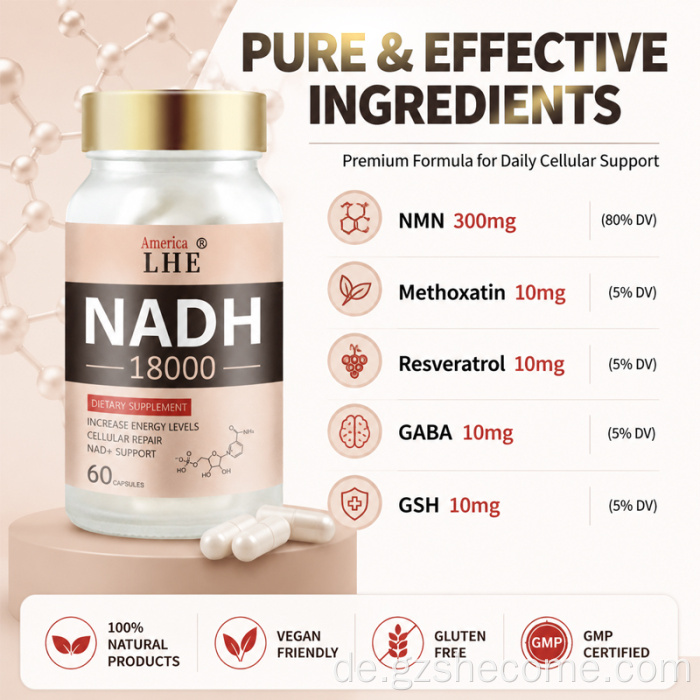 Shecome NADH-Kapseln Cellular Energy NAD+-Unterstützung